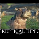 skeptical_hippo
